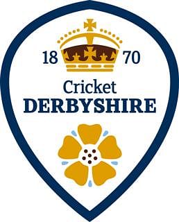 Sage comments from the south - Financial issues for Derbyshire