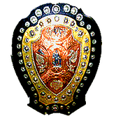 IFA Shield fixtures adjusted due to late arrival of foreign teams