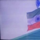 Indian flag hoisted upside down at the Asia Cup