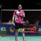 2014 Yonex All England Badminton Championships: Saina Nehwal through, Sindhu loses in opening round