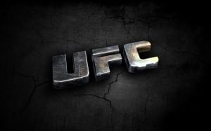 Silva rules out 2014 UFC return