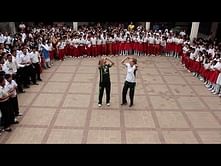 Video: Ellyse Perry and Meg Lanning in a flash mob at World T20