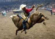 #2, at Sportskeeda's list of most dangerous sports is Bull Riding.