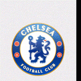 Dutch FA to investigate the connections between Chelsea and Vitesse Arnhem