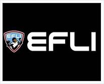 EFLI: Tapping into the Indian sports psyche with American Football