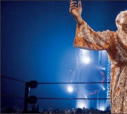 Find Ric Flair net worth