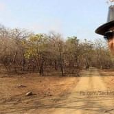 Complaint filed against Sachin Tendulkar's visit to Gujarat's Gir Forest
