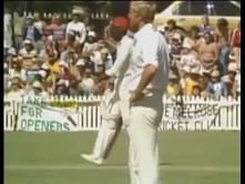 Video: A seagull gets killed on cricket field
