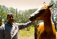 Flavian DâSouza, Mentor Sportsphere