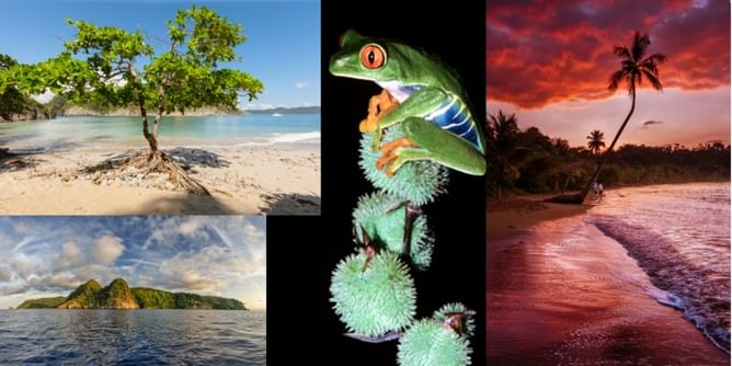 The most beautiful countries playing the 2014 FIFA World Cup