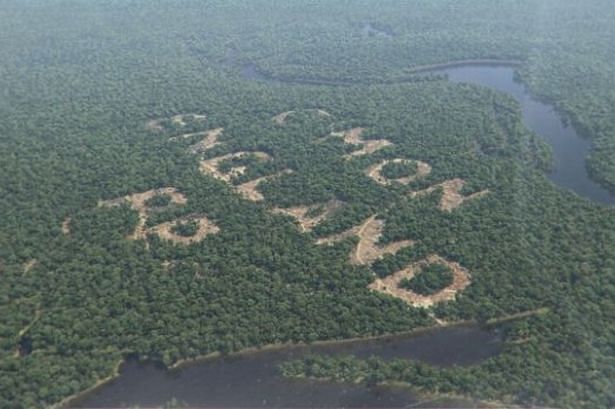 Did Paddy Power cut down Amazon rainforest trees for a bizarre World Cup promotion?