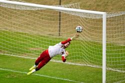 FIFA World Cup 2014: Spain's David De Gea to miss group stage matches due to hip injury