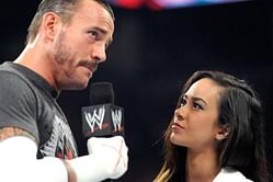 Rumour: WWE Diva AJ Lee and CM Punk expecting their first child