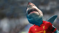 Suarez as shark