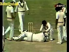 Video: Wasim Akram's deathly bouncer hits Lance Cairns on the head