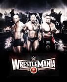 Photo: First WrestleMania 31 Poster Released?