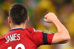 James Rodriguez celebrates goal against Brazil with a giant locust