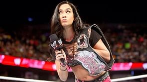 WWE Summerslam 2014 - A way of redemption for the poor build up for Paige and AJ Lee