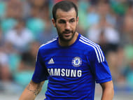 Cesc Fabregas Facts
