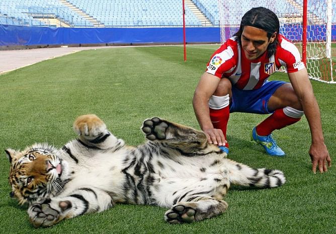 Video: Radamel 'El Tigre' Falcao meets a Royal Bengal Tiger