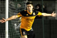 best young hidden gems fifa 15