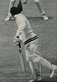 Top 5 weird dismissals in cricket