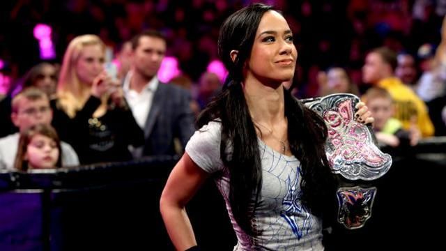 WWE Hell in a Cell 2014: Predictions and possible opponents for every champion