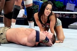 WWE Diva's private pics leaked online?