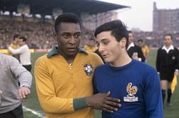Best Brazil Players