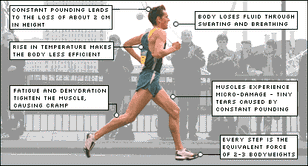 Guide to a successful marathon recovery
