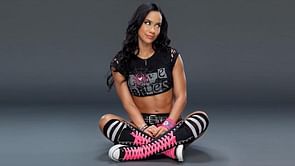 Why AJ Lee isn't on Total Divas, Injured WWE superstar close to returning