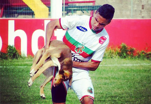 Video: Brazilian footballer scores the winner after getting bit by a dog
