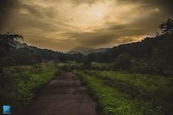 Jawadhu Hills Ultra Marathon – Planting the seeds of trail running on the hills