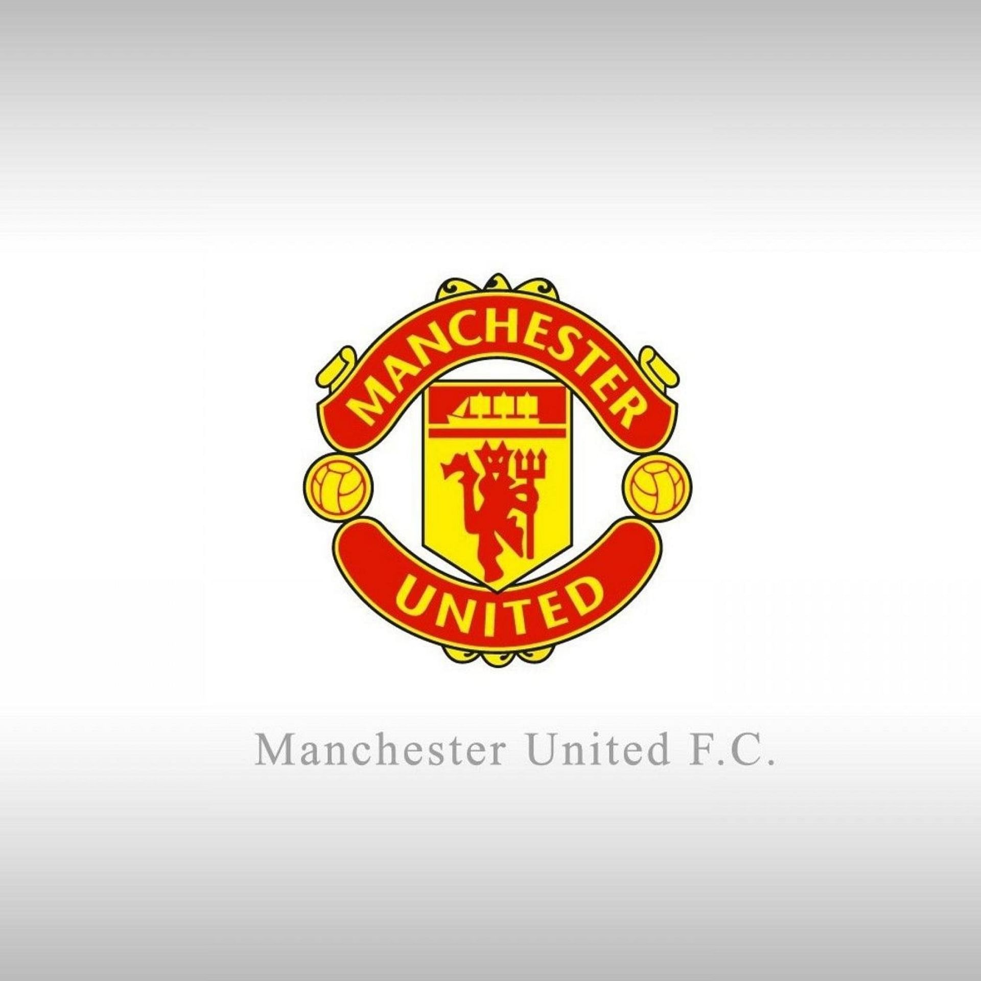 football manager 2015 manchester united