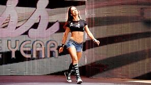 Negative talk on AJ Lee for appearing at UFC, news on another incident