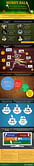 Infographic: Money matters in Indian Sports