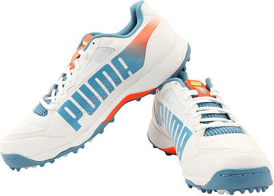 new puma cricket shoes 2015