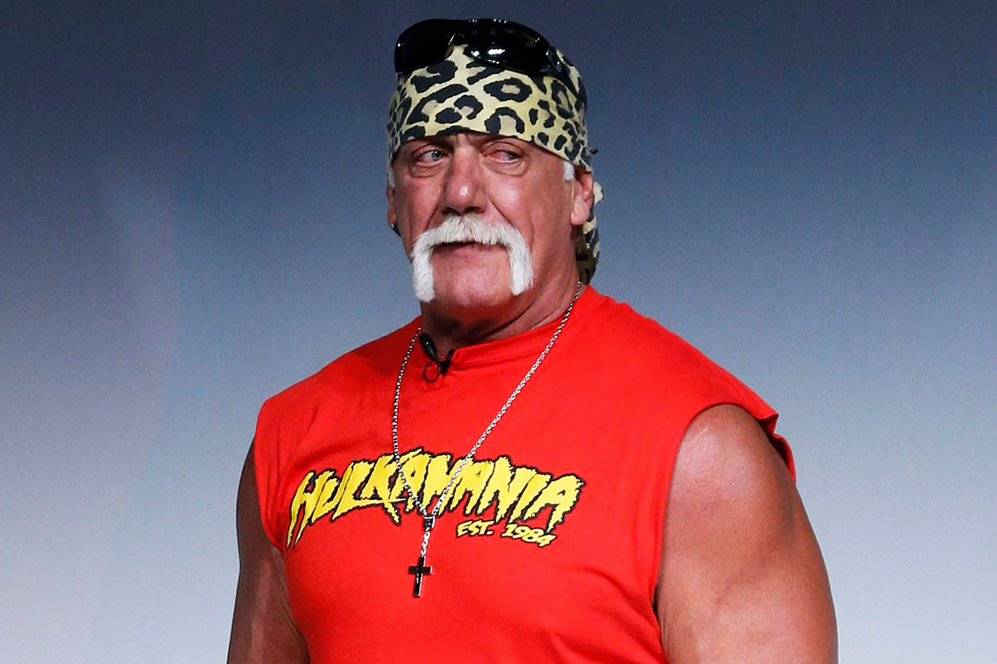 Hulk Hogan on if he's angling for a match at WrestleMania 31, If he is
