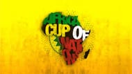 African Cup of Nations
