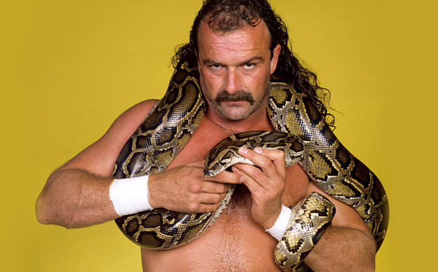 Jake Roberts says he'll talk to Vince McMahon about final match at 'Mania, names ideal opponent