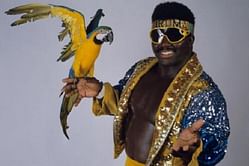 Koko B. Ware talks helping Hulk Hogan, talking The Rock out of quitting the business, Frankie'
