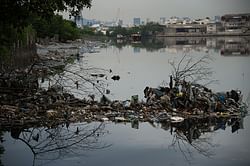 Olympic hero Robert Scheidt downplays Rio pollution fears