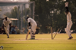 BITS Pilani - Spree 2015: Roundup