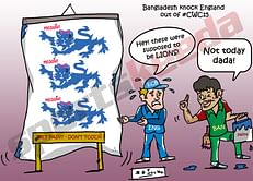 Comic: England - Lions become Cats