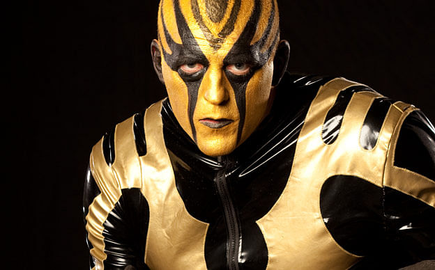 Is Goldust taking part in the ladder match at WrestleMania 31?
