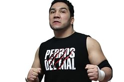 WWE mentions passing of Perro Aguyo Jr., wrestlers called to testify in case, Aguayo memorial shirt