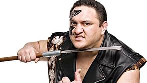 Top 5 WWE rumours of the week and analysis: March 29, 2015