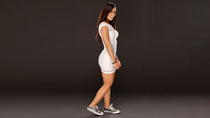 5 Reasons Why AJ Lee could Move to UFC