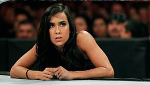 AJ Lee tweets for first time after WWE retirement