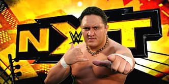 5 TNA performers that were signed by the WWE